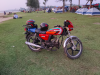 Walton Stylex 100cc